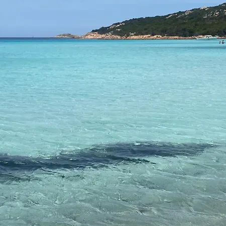 Casa Stella Ea Bianca * Baja Sardinia