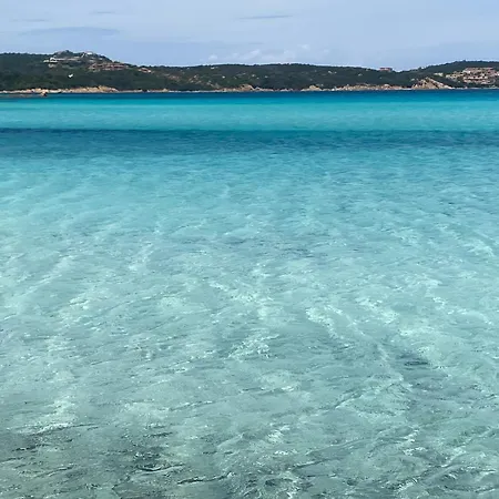 公寓 Casa Stella Ea Bianca *